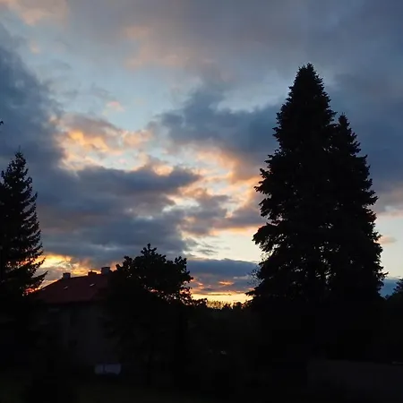 Trempska Aronie