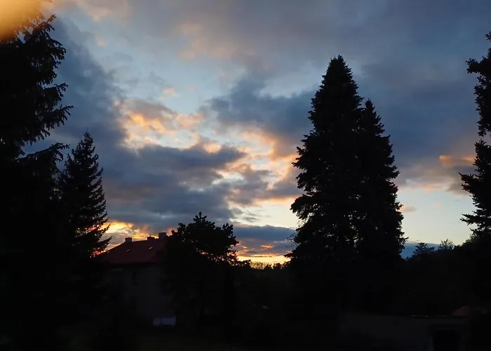 Trempska Aronie