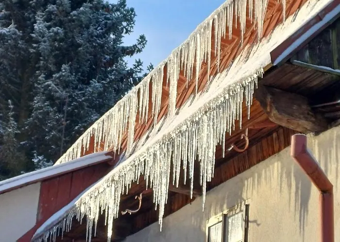 Çiftlik konaklama Trempska Aronie